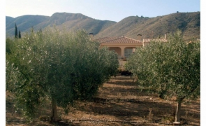 Chalet a la venta en Hondón de las Nieves